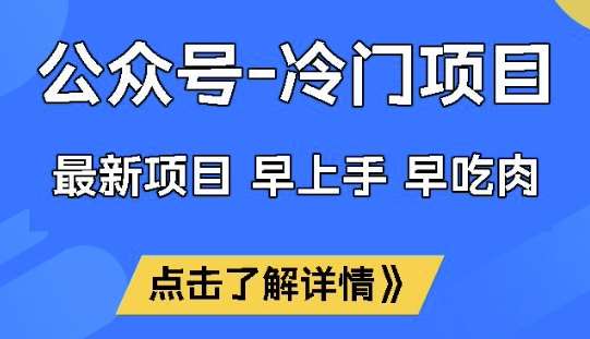 公众号冷门赛道，早上手早吃肉，单月轻松稳定变现1W【揭秘】-三石资源库