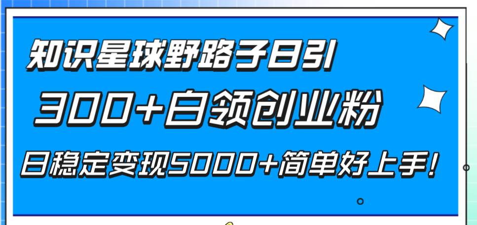 （8315期）知识星球野路子日引300+白领创业粉，日稳定变现5000+简单好上手！-三石资源库