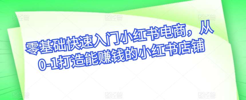 零基础快速入门小红书电商，从0-1打造能赚钱的小红书店铺-三石淘金网