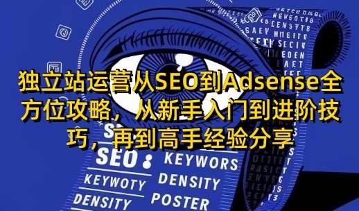 独立站运营从SEO到Adsense全方位攻略，从新手入门到进阶技巧，再到高手经验分享-三石资源库