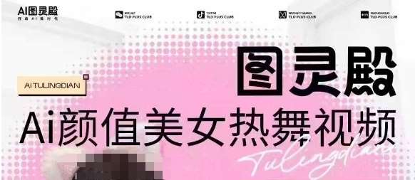 全网首发，原价988图灵殿AI颜值美女热舞视频，云端生图，轻松过原创-三石资源库
