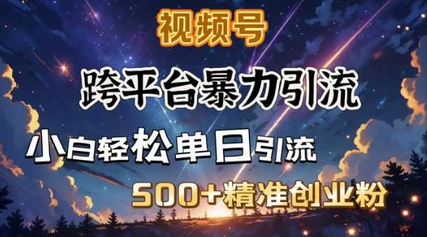 跨平台暴力引流，私域完美闭环，日引500+精准创业粉-三石资源库