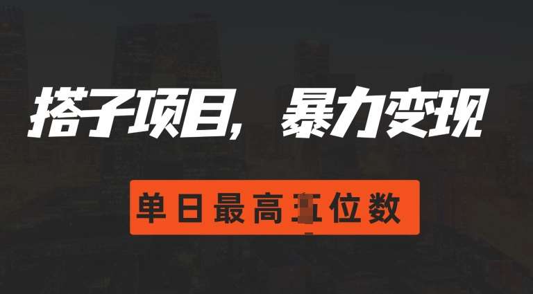 2024搭子玩法，0门槛，暴力变现，单日最高破四位数【揭秘】-三石资源库