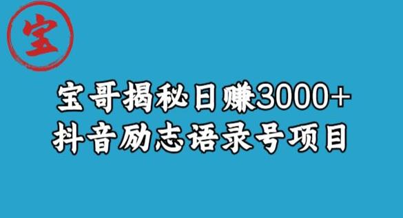 宝哥揭秘日赚3000+抖音励志语录号短视频变现项目-三石资源库