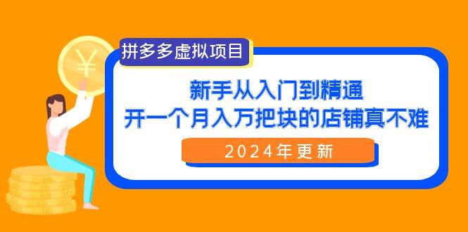 （9744期）拼多多虚拟项目：入门到精通，开一个月入万把块的店铺 真不难（24年更新）-三石淘金网