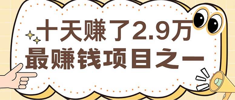 （12491期）闲鱼小红书赚钱项目之一，轻松月入6万+项目-三石资源库