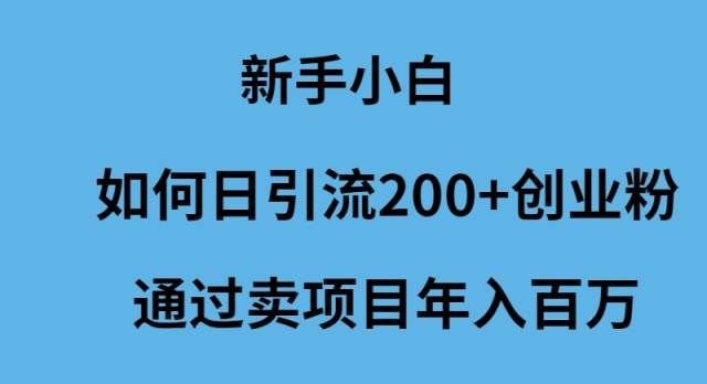 （9668期）新手小白如何日引流200+创业粉通过卖项目年入百万-三石资源库