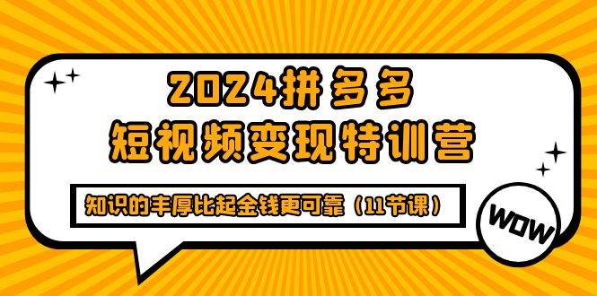 （9817期）2024拼多多短视频变现特训营，知识的丰厚比起金钱更可靠（11节课）-三石资源库