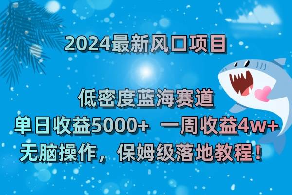 （8545期）2024最新风口项目 低密度蓝海赛道，日收益5000+周收益4w+ 无脑操作，保…-三石资源库