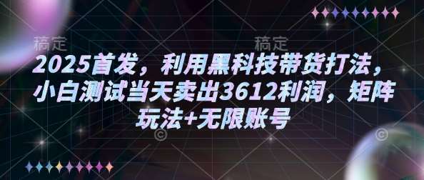2025首发，利用黑科技带货打法，小白测试当天卖出3612利润，矩阵玩法+无限账号【揭秘】-三石资源库