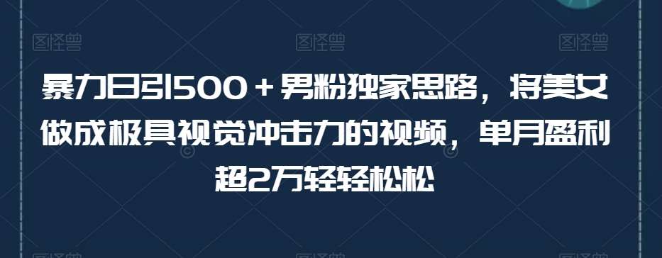 暴力日引500＋男粉独家思路，将美女做成极具视觉冲击力的视频，单月盈利超2万轻轻松松-三石资源库