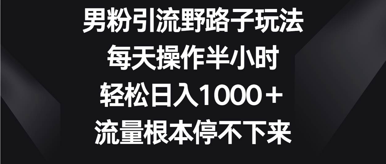 男粉引流野路子玩法，每天操作半小时轻松日入1000＋，流量根本停不下来-三石淘金网