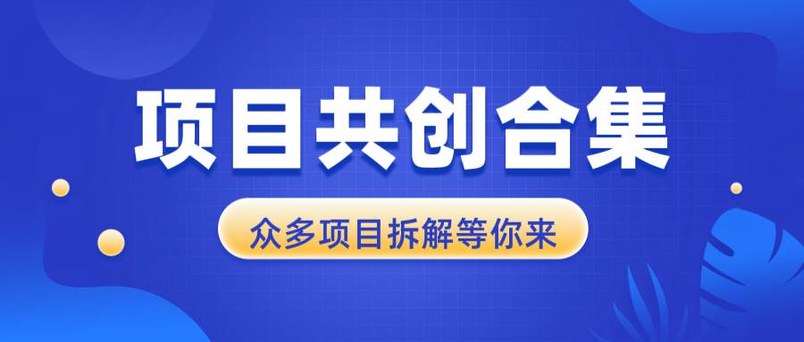 （13778期）项目共创合集，从0-1全过程拆解，让你迅速找到适合自已的项目-三石淘金网