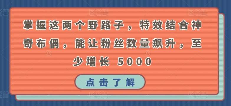 掌握这两个野路子，特效结合神奇布偶，能让粉丝数量飙升，至少增长 5000【揭秘】-三石资源库