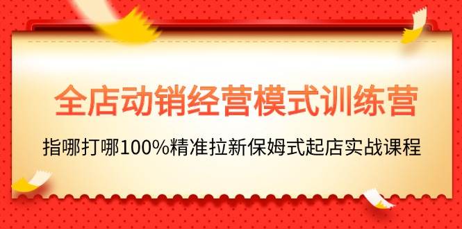 （11460期）全店动销-经营模式训练营，指哪打哪100%精准拉新保姆式起店实战课程-三石资源库