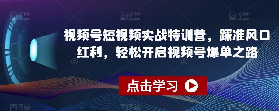 视频号短视频实战特训营，踩准风口红利，轻松开启视频号爆单之路-三石资源库