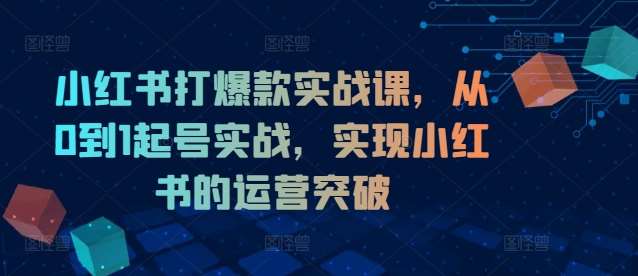 小红书打爆款实战课，从0到1起号实战，实现小红书的运营突破-三石资源库