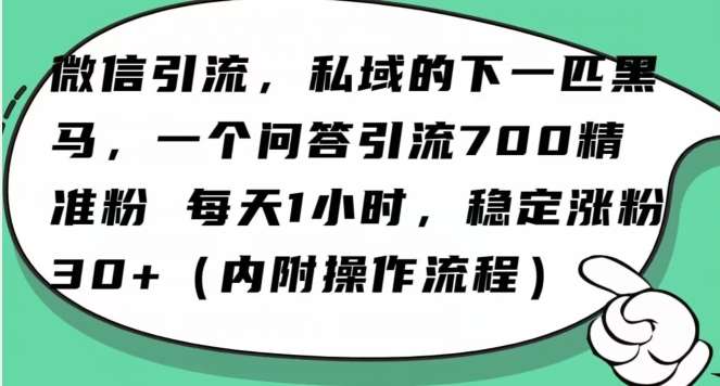 怎么搞精准创业粉？微信新赛道，每天一小时，利用Ai一个问答日引100精准粉-三石淘金网