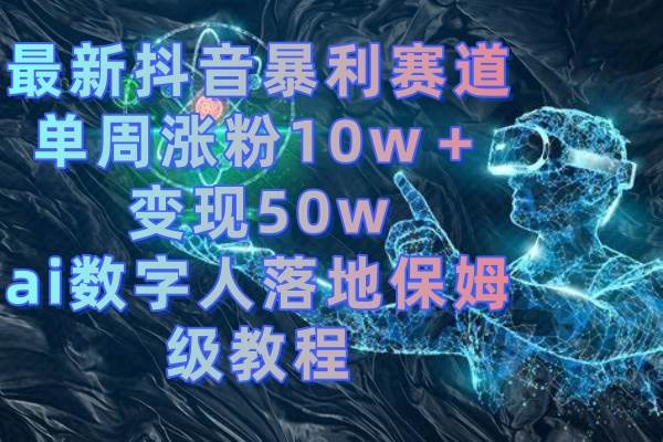 （8637期）最新抖音暴利赛道，单周涨粉10w＋变现50w的ai数字人落地保姆级教程-三石资源库