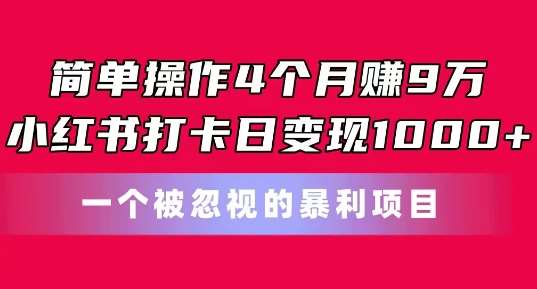 简单操作4个月赚9w，小红书打卡日变现1k，一个被忽视的暴力项目【揭秘】-三石淘金网
