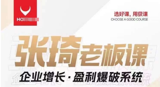 【组合课】张琦张琦老板企业增长·盈利爆破系统（直播专享）-三石资源库