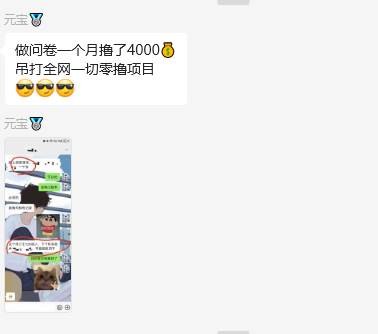 图片[2]-问卷调查兼职项目，随时可做 超低门槛 单号日撸20+-三石资源库