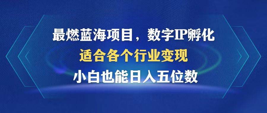 （12941期）最燃蓝海项目  数字IP孵化  适合各个行业变现  小白也能日入5位数-三石资源库