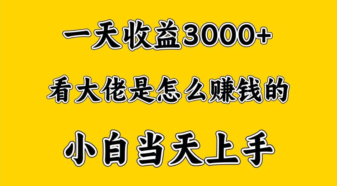 一天赚3000多，大佬是这样赚到钱的，小白当天上手，穷人翻身项目-三石淘金网