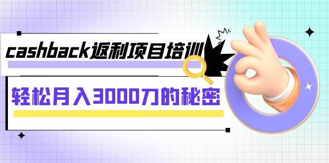 cashback返利项目培训：轻松月入3000刀的秘密（8节课）-三石淘金网