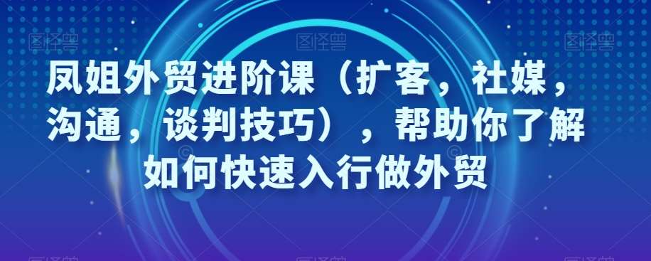 凤姐外贸进阶课（扩客，社媒，沟通，谈判技巧），帮助你了解如何快速入行做外贸-三石淘金网