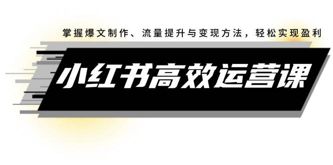 （12369期）小红书高效运营课：掌握爆文制作、流量提升与变现方法，轻松实现盈利-三石淘金网