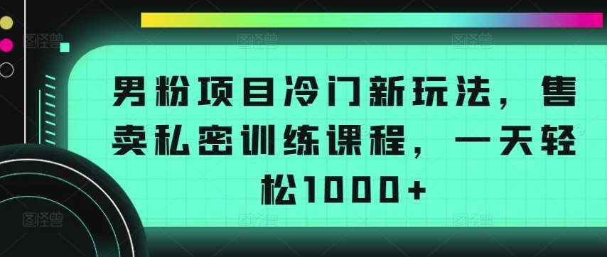 男粉项目冷门新玩法，售卖私密训练课程，一天轻松1000+【揭秘】-三石资源库
