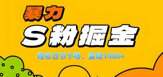 单人单机日引千粉，变现1k+，S粉流量掘金计划攻略【揭秘】-三石资源库