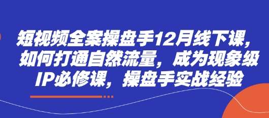 短视频全案操盘手12月线下课，如何打通自然流量，成为现象级IP必修课，操盘手实战经验-三石资源库