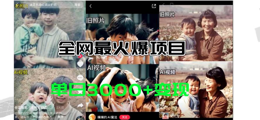 （11546期）全网爆火的AI让老照片动起来教程，蹭热点日赚3000+，内含免费工具一键…-三石资源库
