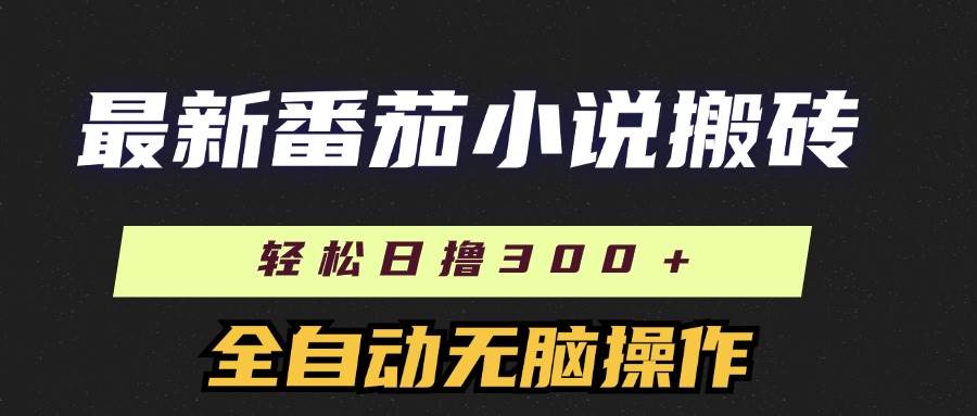 （11904期）最新番茄小说搬砖，日撸300＋！全自动操作，可矩阵放大-三石资源库