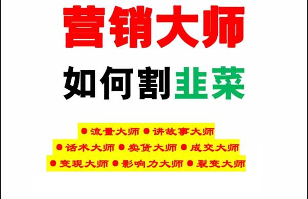 《营销大师如何割韭菜》禁止外传的大师绝学电子书-三石淘金网