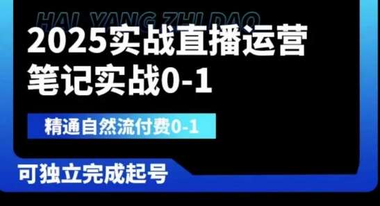 2025实战直播运营0-1，精通自然流付费0-1，可独立完成起号-三石资源库