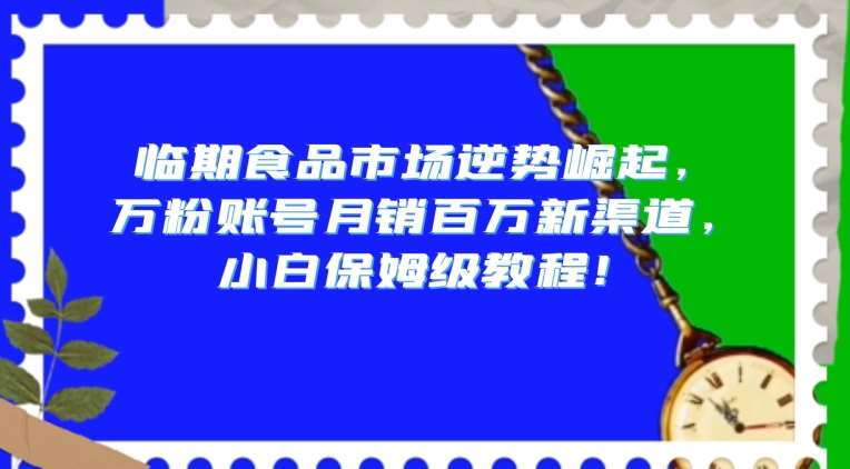 临期食品市场逆势崛起，万粉账号月销百万新渠道，小白保姆级教程【揭秘】-三石淘金网