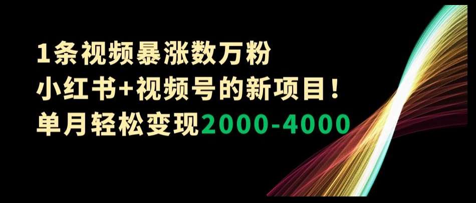 1条视频暴涨数万粉–小红书+视频号的新项目！单月轻松变现2000-4000【揭秘】-三石淘金网