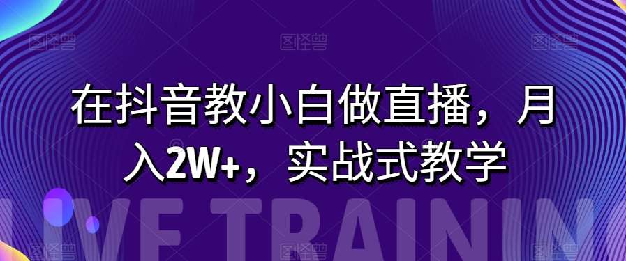 在抖音教小白做直播，月入2W+，实战式教学【揭秘】-三石资源库