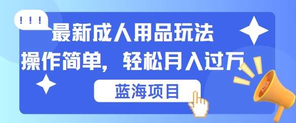 最新成人用品项目玩法，操作简单，动动手，轻松日入几张【揭秘】-三石淘金网