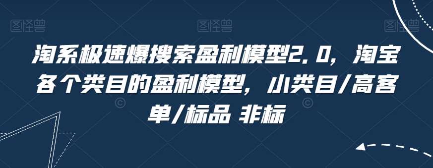 淘系极速爆搜索盈利模型2.0，淘宝各个类目的盈利模型，小类目/高客单/标品 非标-三石资源库