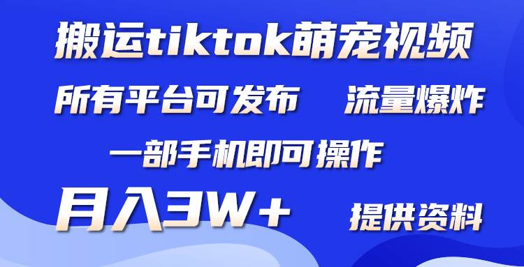 （9618期）搬运Tiktok萌宠类视频，一部手机即可。所有短视频平台均可操作，月入3W+-三石资源库