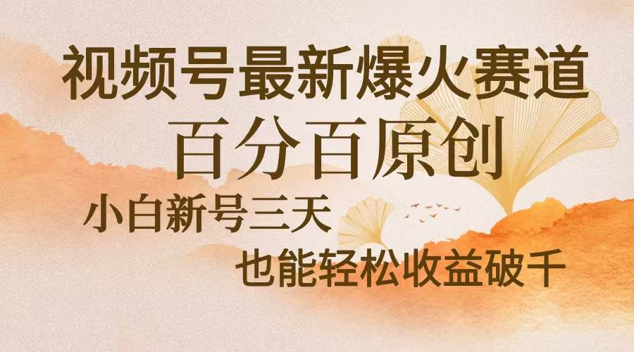 （13225期）视频号最新爆火赛道，中老年粉深信不疑，百分百原创，新号三天收益轻松…-三石资源库