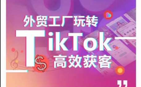 外贸工厂玩转TikTok高效获客,多种引流方式与账号定位技巧,拆解爆款短视频打造成功案例-三石资源库