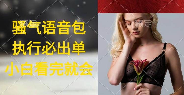（9589期）执行就出单，日入2000+，超火骚气语音包，小白看完课程就能马上实操-三石资源库