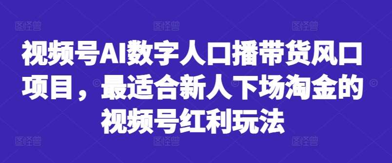 视频号AI数字人口播带货风口项目，最适合新人下场淘金的视频号红利玩法-三石资源库