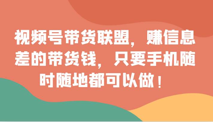 视频号带货联盟，赚信息差的带货钱，只需手机随时随地都可以做！-三石淘金网