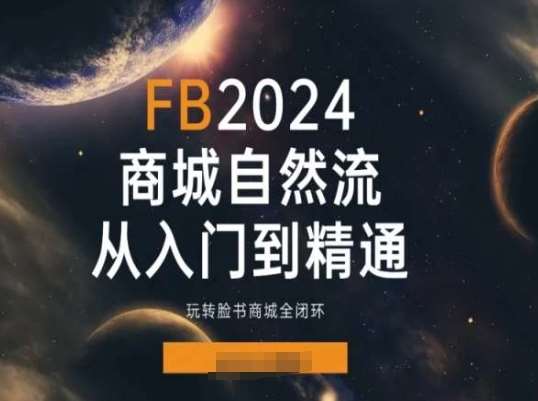 2024Faceboo商城自然流(从入门到精通),玩转脸书商城全闭环-三石资源库
